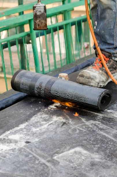 istockphoto 1153812743 612x612