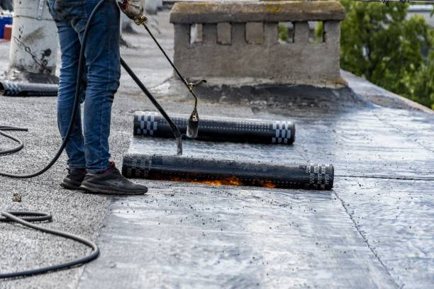 istockphoto 1437450970 612x612