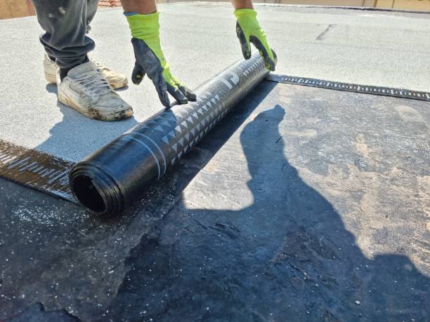 istockphoto 1560634744 612x612